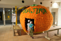 DSCF3025