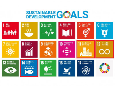 sdg_poster_ja_2021