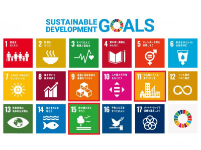 sdg_poster_ja_2022