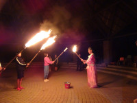 DSC09539