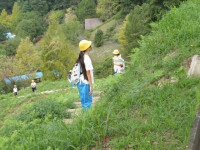 IMGP0161
