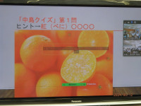 P6120038